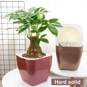 Mini Self-Watering Plant Pot – Square Flower Planter with Drainage Holes for Garden