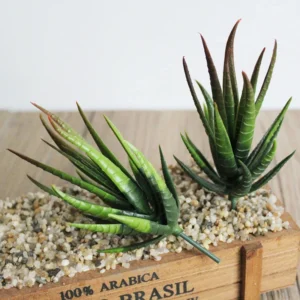 Artificial Succulent Plants – DIY Fake PVC Aloe & Flower Arrangement for Home Decor