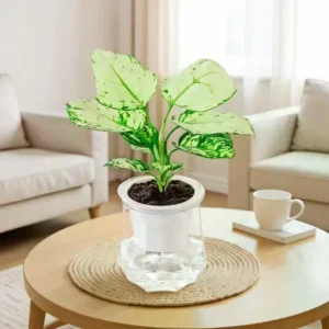 Mini Self-Watering Plant Pot – Transparent Flower Planter Vase for Home Decor