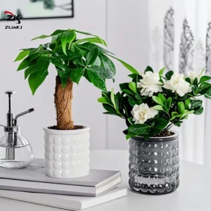 Mini Self-Watering Plant Pot – Transparent Flower Planter for Home Decor