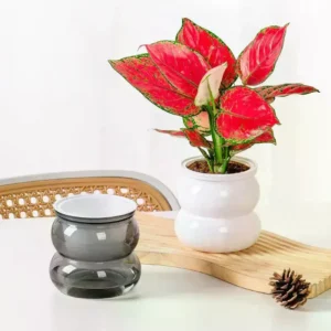 Mini Self-Watering Flower Pot – Transparent Plastic Planter Vase for Home Décor